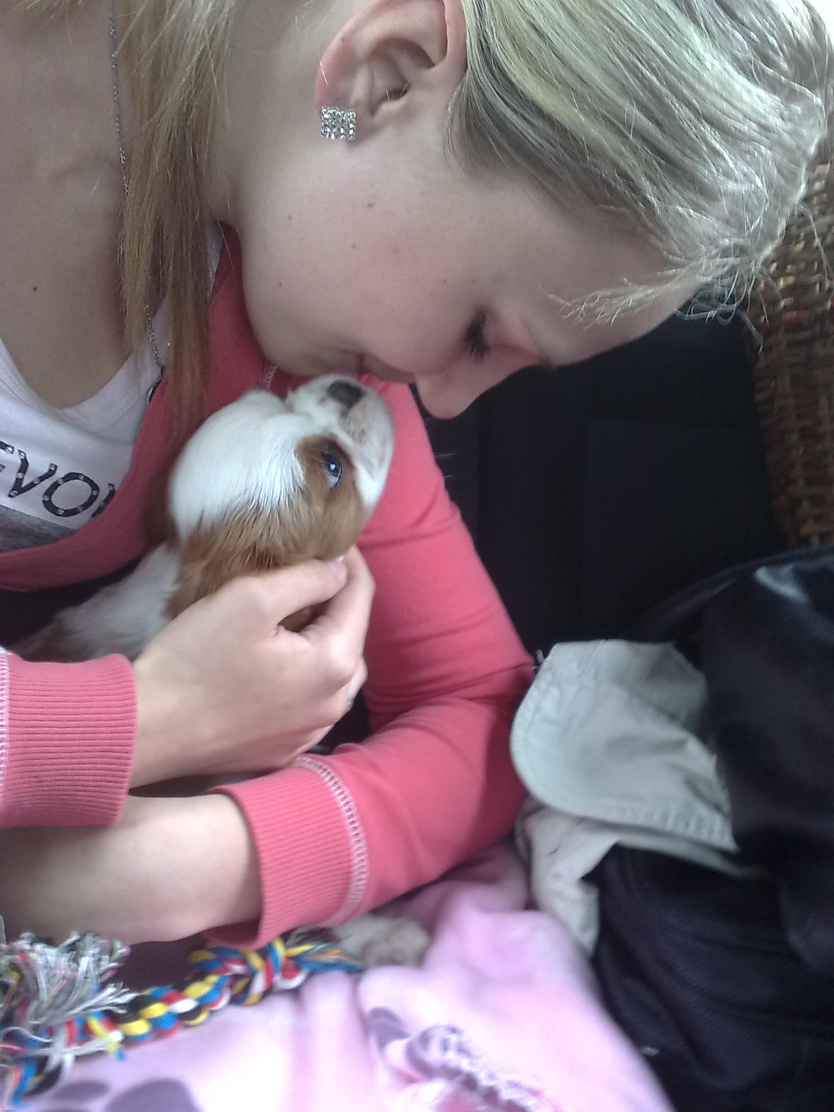 01062010537.jpg